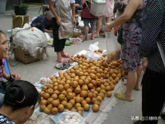 三穗县城几号赶场 (三穗赶场视频完整版)