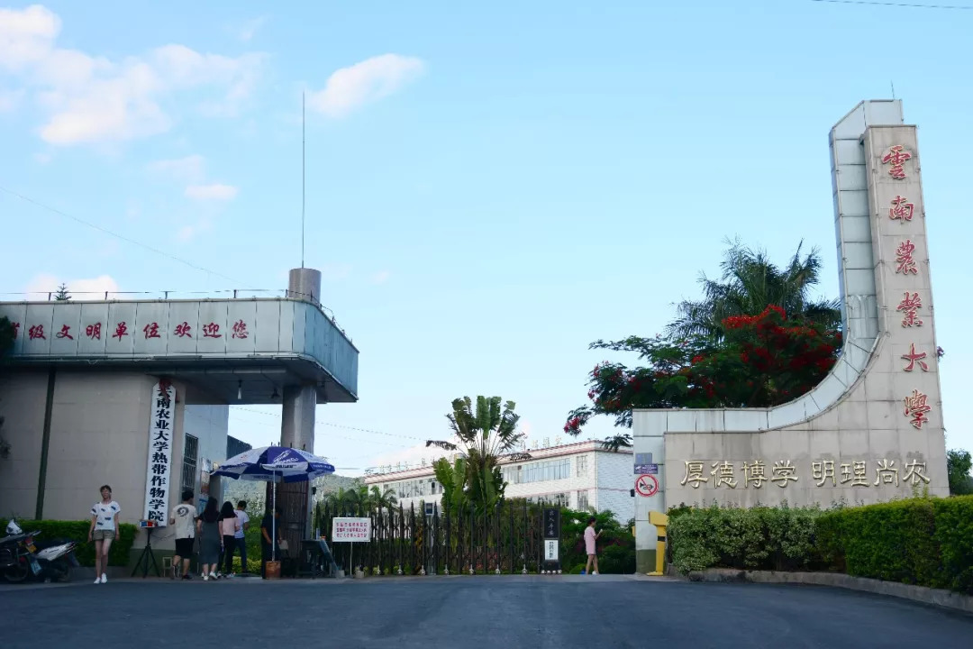 最容易进烟草系统的专业,进烟草最好进的专业