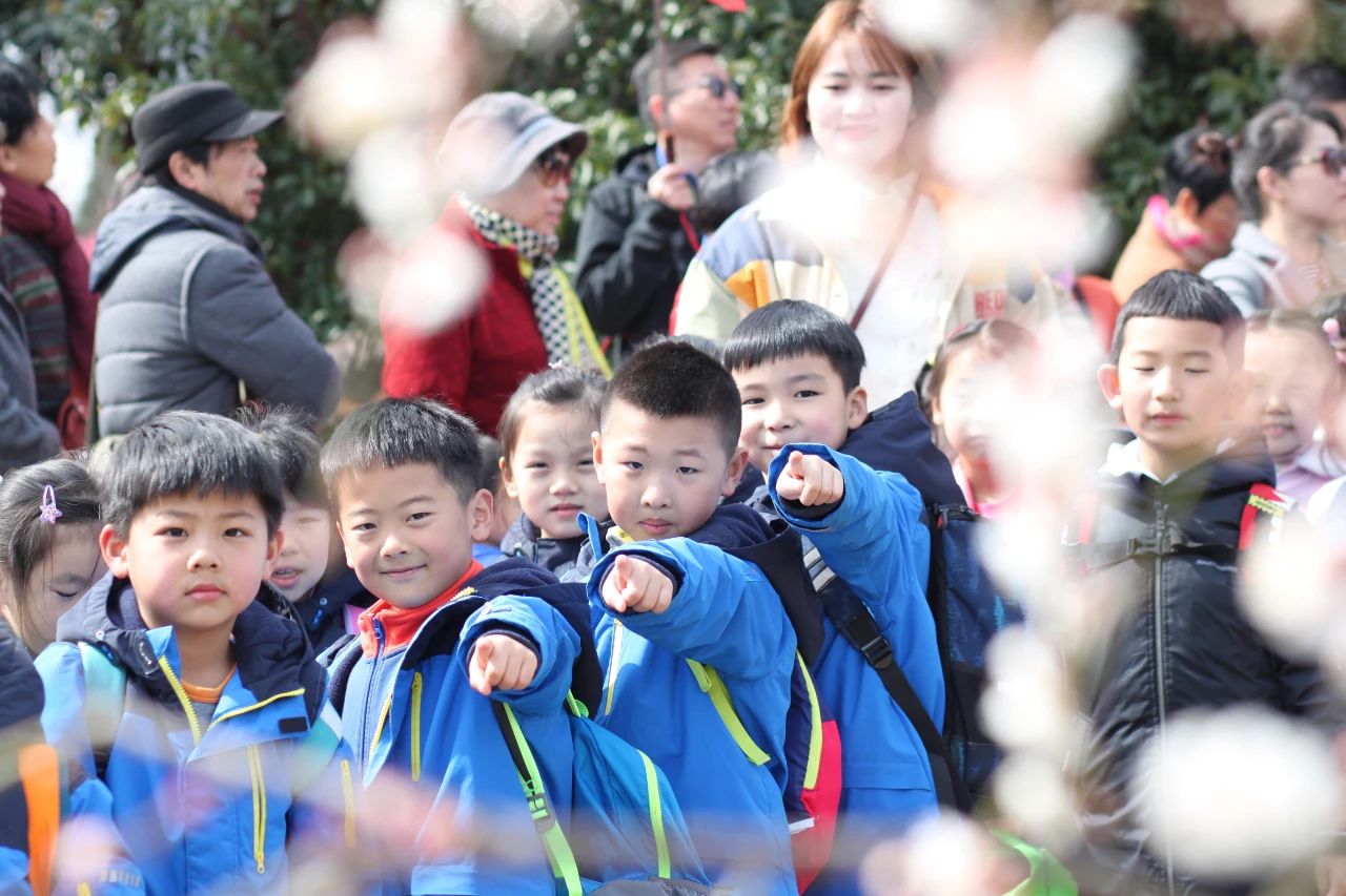 河西区公办小学,南京河西南有哪些好的小学