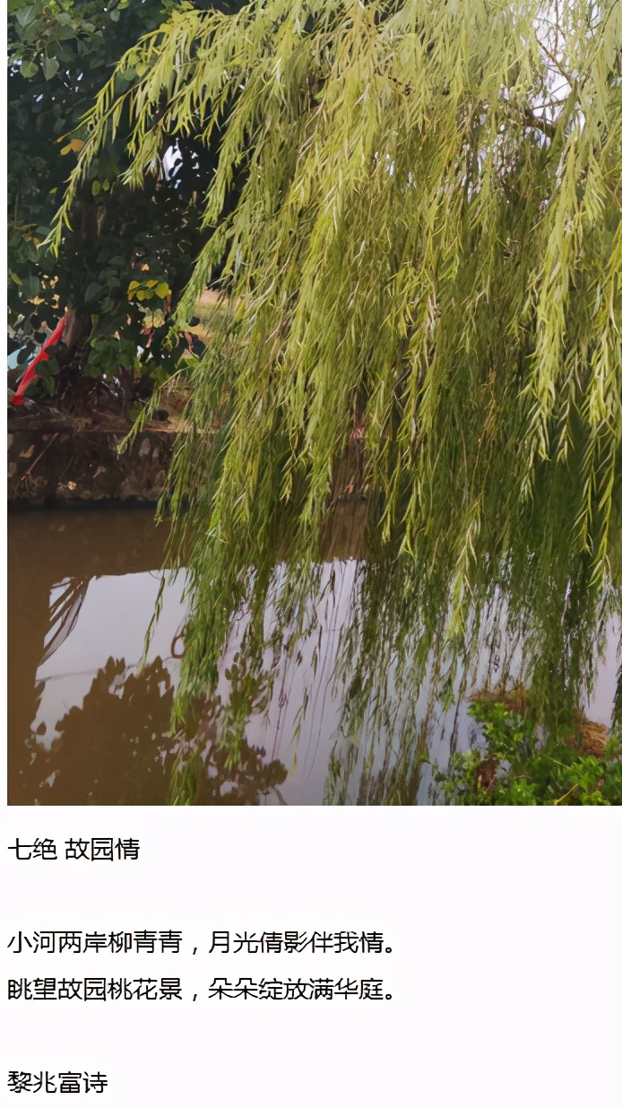 2024全国首届盛世杯,全国首届盛世千蕴杯诗词艺术大赛