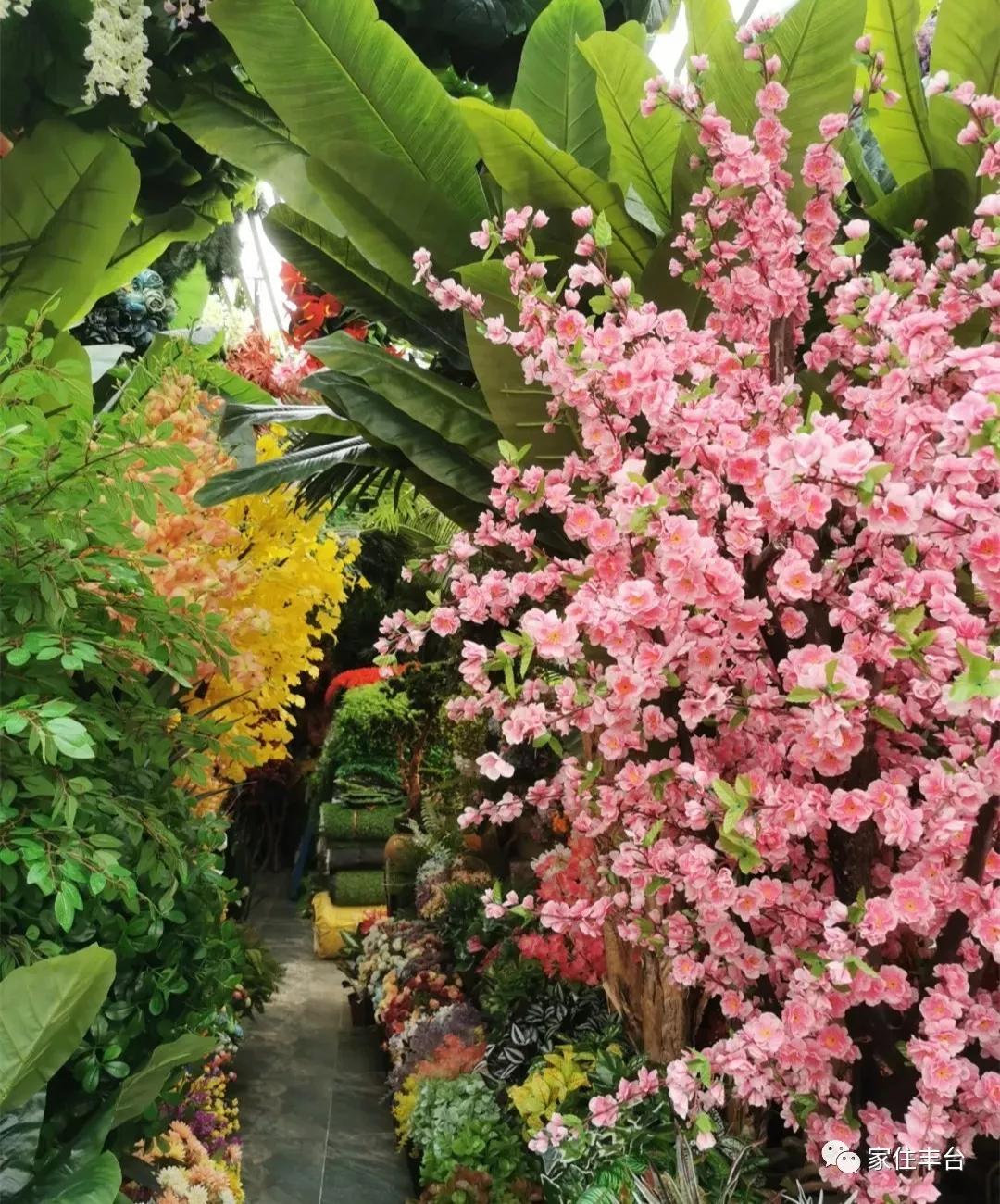 小编整理！丰台四大花市逛买攻略！春节就要这喜庆劲儿