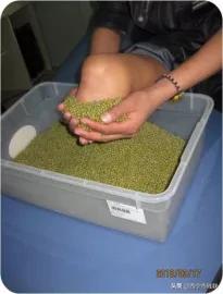 简单的截肢方法,截肢物理治疗