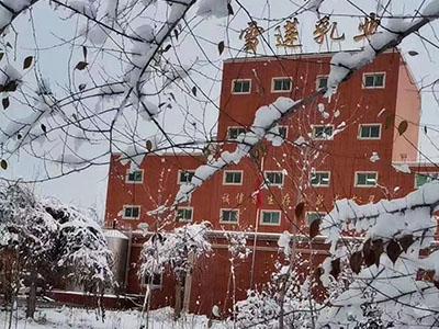 新疆伊犁雪莲乳业驼奶,雪莲乳业的驼奶和旺源驼奶哪个好