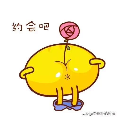 运动文胸怎么选,运动文胸怎么选才适合