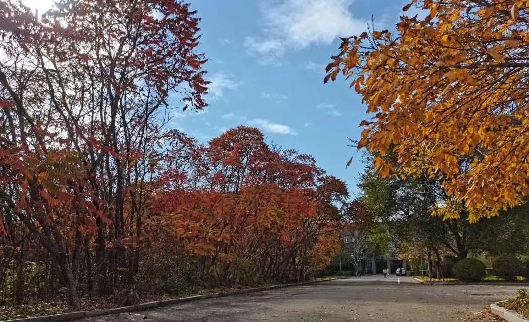沈阳理工大学辽宁工程技术大学,沈阳理工大学专科院校