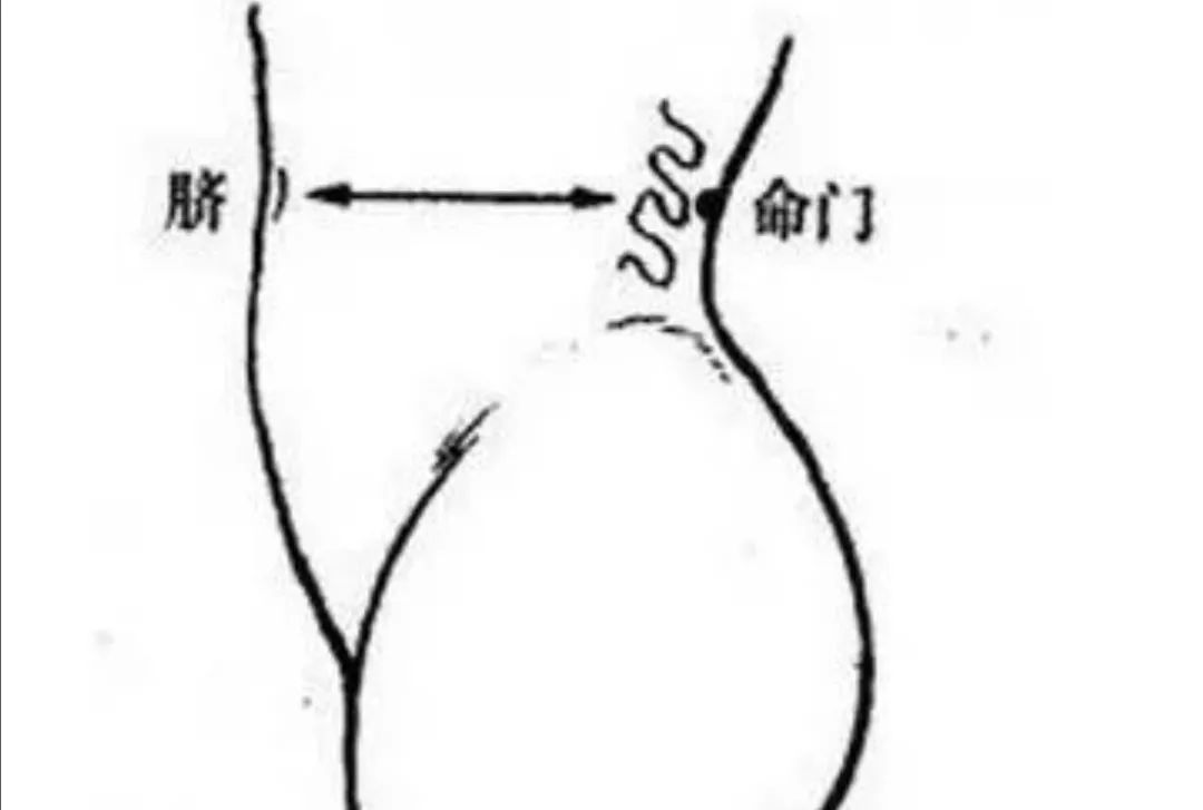 生病体虚如何调理,生病身体虚怎么补