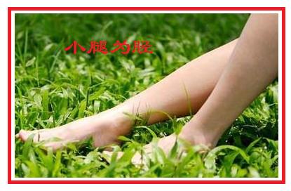 常见词语和成语学习,一些比较生僻难懂的成语