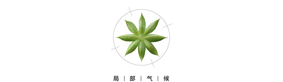 千克定义的意义,千克是怎么定义的