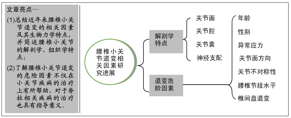腰椎及小关节退变什么意思,腰椎小关节退行性改变怎么办