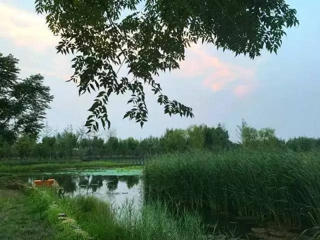 郑州出发黄河沿线自驾游最佳路线,郑州黄河自驾游攻略路线