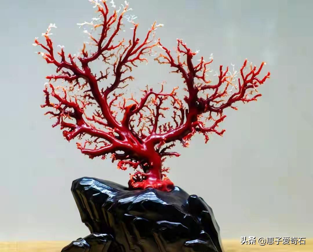 台湾顶级珍稀奇石,顶级玉石奇石