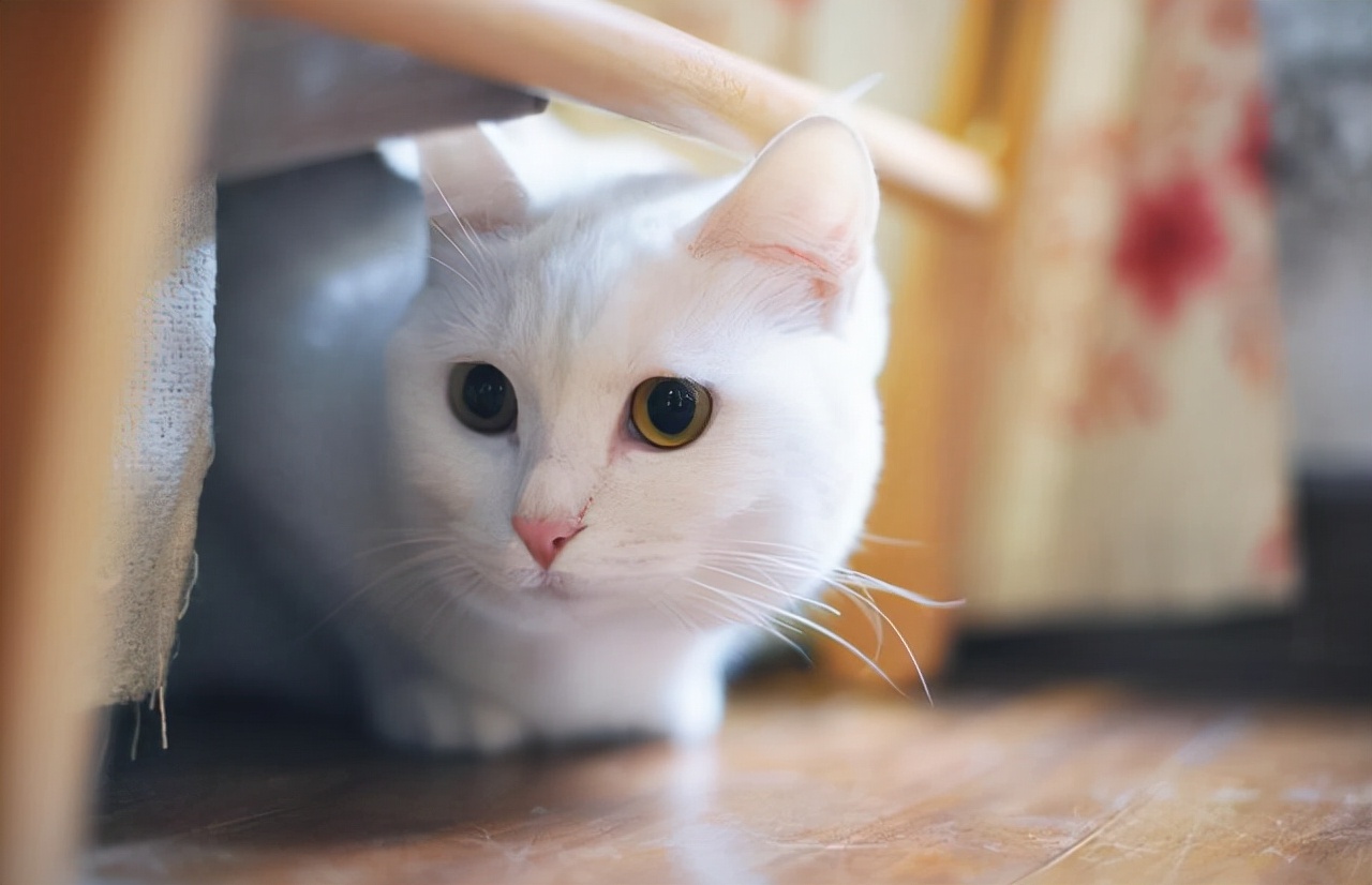 这六种东西别买,这六种东西千万不要捡