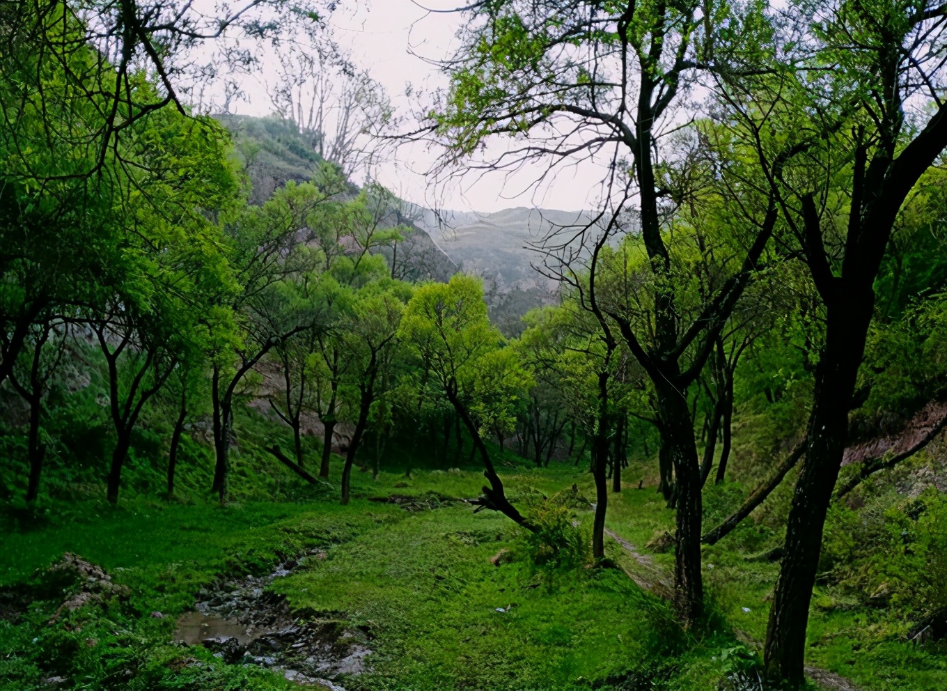 榆林暖泉沟,陇西暖泉沟
