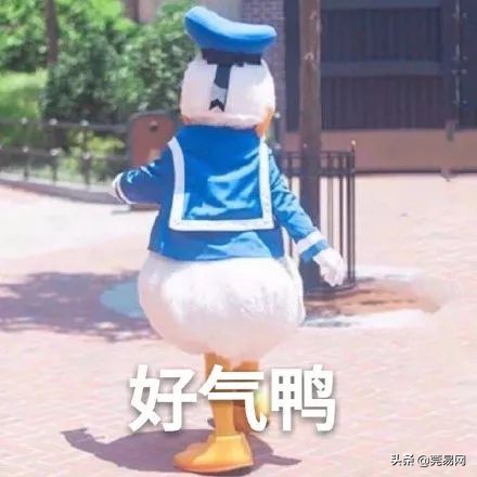 再见了大别山王宏伟原唱,再见了相互嫌弃的老同学