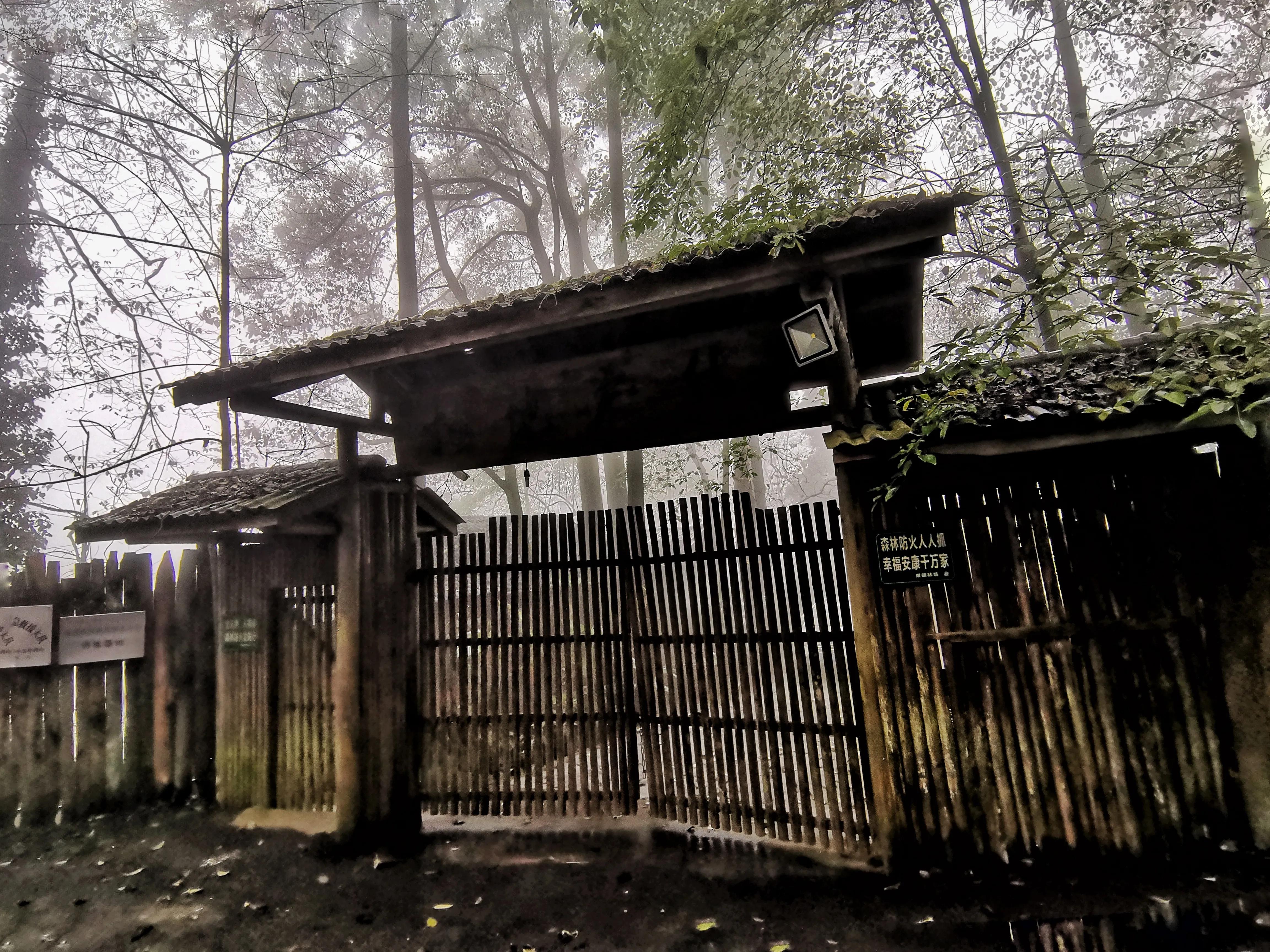 铜梁巴岳山森林木屋,巴岳山树屋