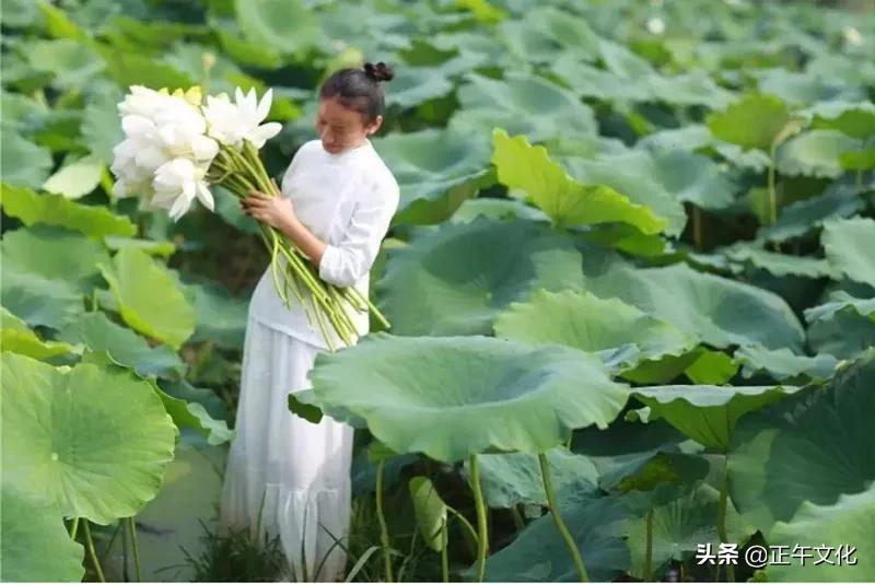 隐居终南山小龙女,一人隐居生活