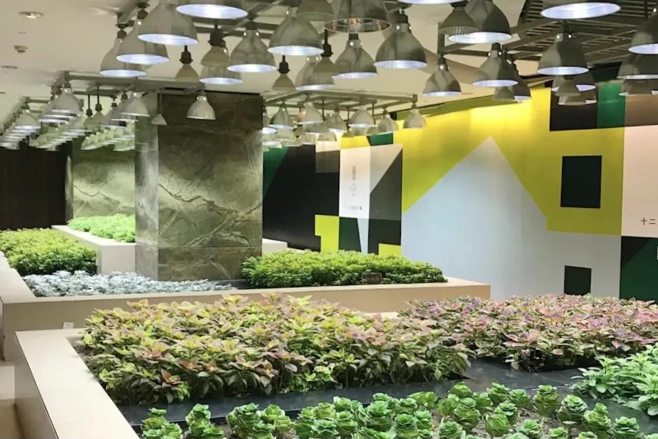 别争了,这条马路才是魔都内卷之王