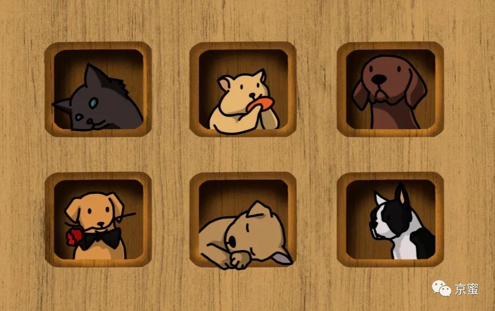 出租屋饲养宠物,出租屋为什么不能养宠物