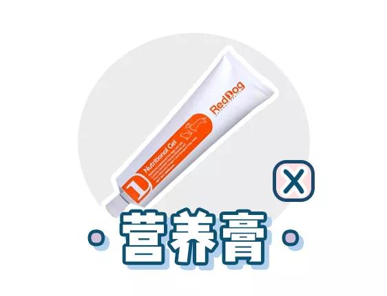 萌新应该养什么便宜宠物狗,萌新怎么入门宠物技能