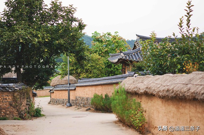 韩国有什么值得买的吃的,除了买买买还有什么活动