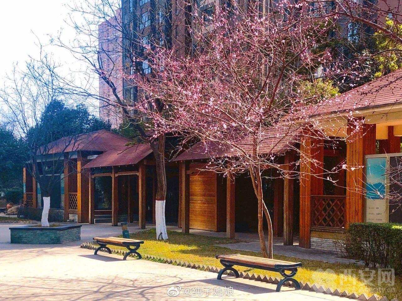 想见你，五彩缤纷的蓝田！「图」