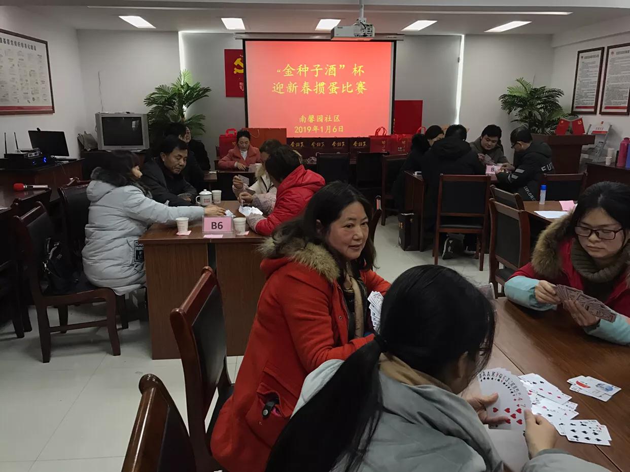 金种子比赛视频,金种子大赛