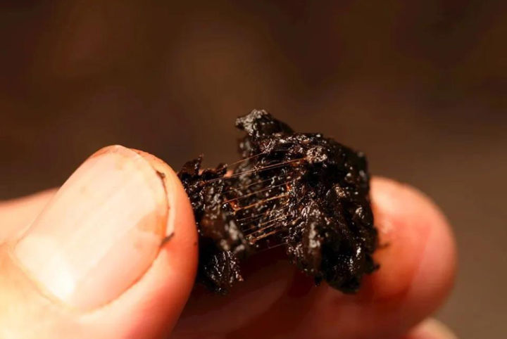 普洱茶老茶梗的口感,冰岛老茶头和普通老茶头的区别