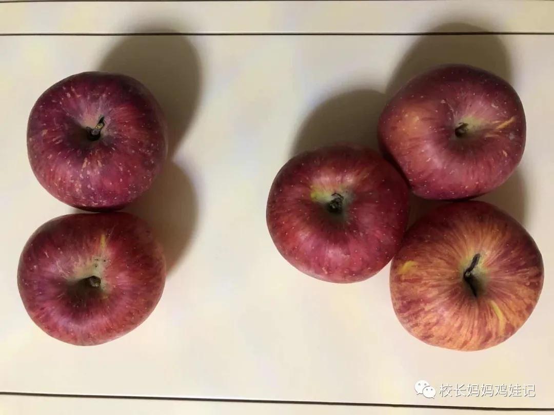 斯奎尔全脑数学讲解3到4岁,四岁学完所有课程