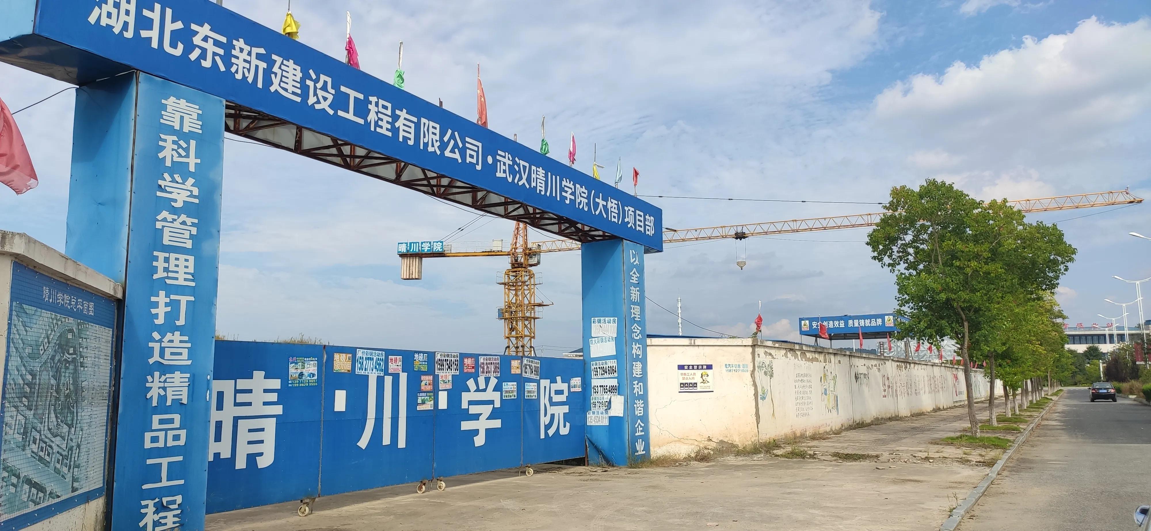 大悟大学城,武汉大悟大学城规划