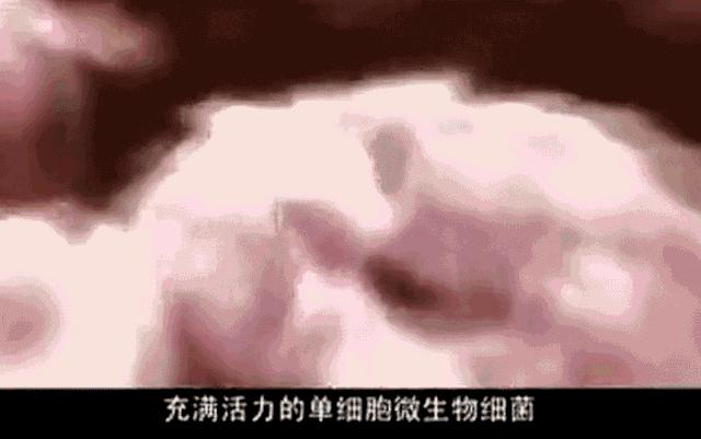 刷牙时一个小窍门彻底告别黄臭牙,刷牙的时候放点小苏打牙会变白吗