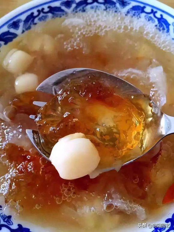 怎么煮牛奶桃胶,牛奶煮桃胶简单煮法