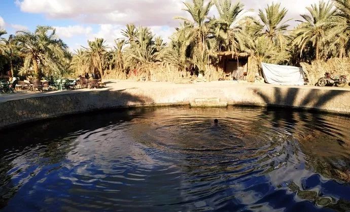 包机直飞埃及旅游,杭州可直飞开罗吗