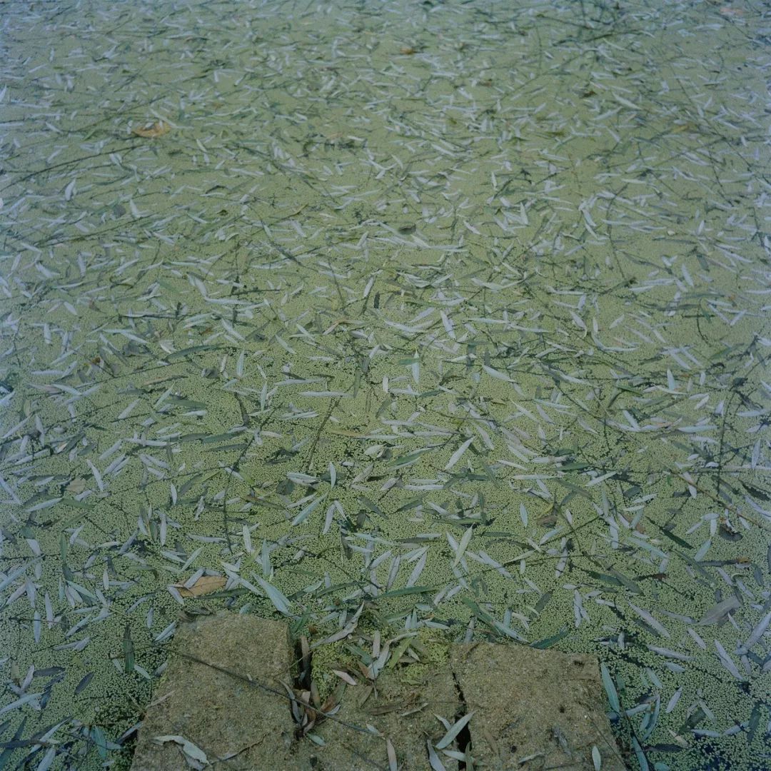 一个泉州小伙的中国荒村启示录