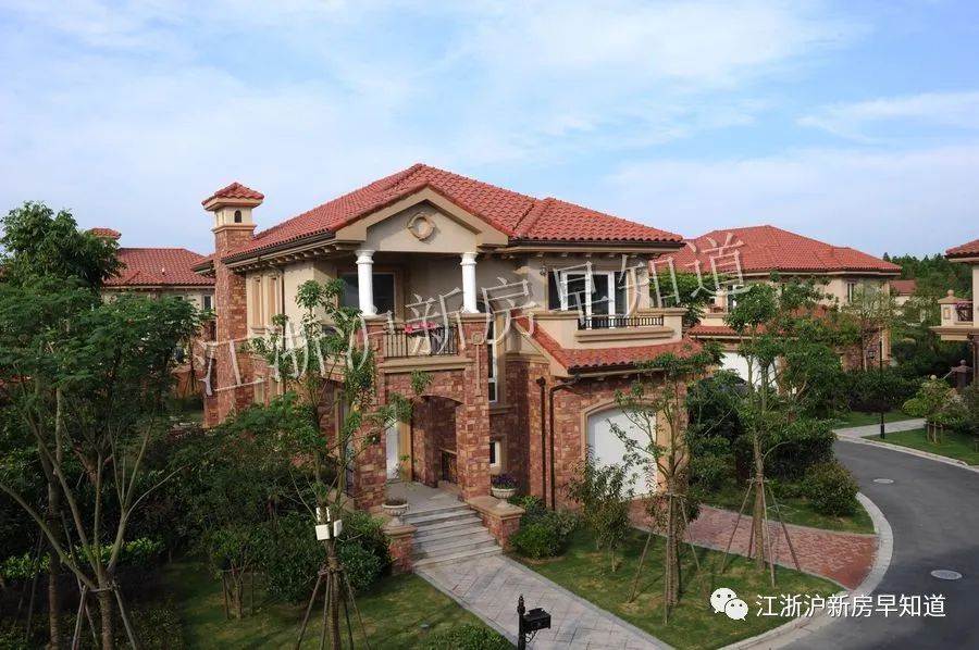 迪士尼别墅楼盘,上海浦东迪士尼花海自建房出售