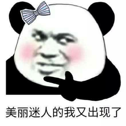 写网络小说经验之谈,写网络小说推荐一个好的编辑