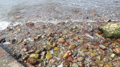 大鹏杨梅坑景区,杨梅坑旅游景点