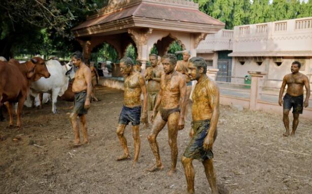 印度24条冷知识,印度冷知识100则