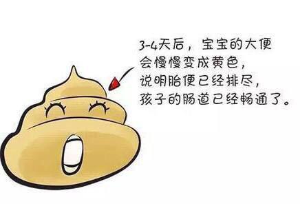 一图教你识别宝宝的大便是否健康,6个月加辅食后的大便有什么变化