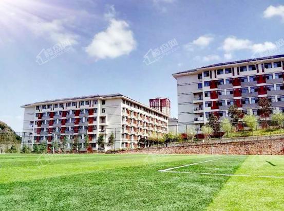 贵阳的民办高中有哪些,贵阳南明区民办高中有哪些