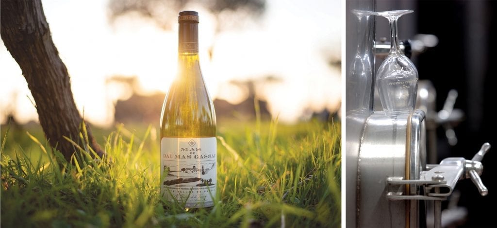 540+国家展团品牌商集结2021成都TAOWINE酒店展