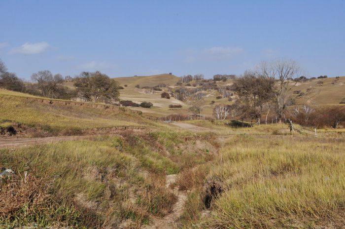 国庆节乌兰布统草原怎么样,乌兰布统草原之旅近期
