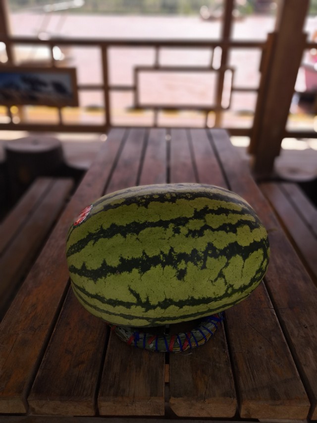 中卫沙坡头攻略,中卫沙坡头一日游攻略