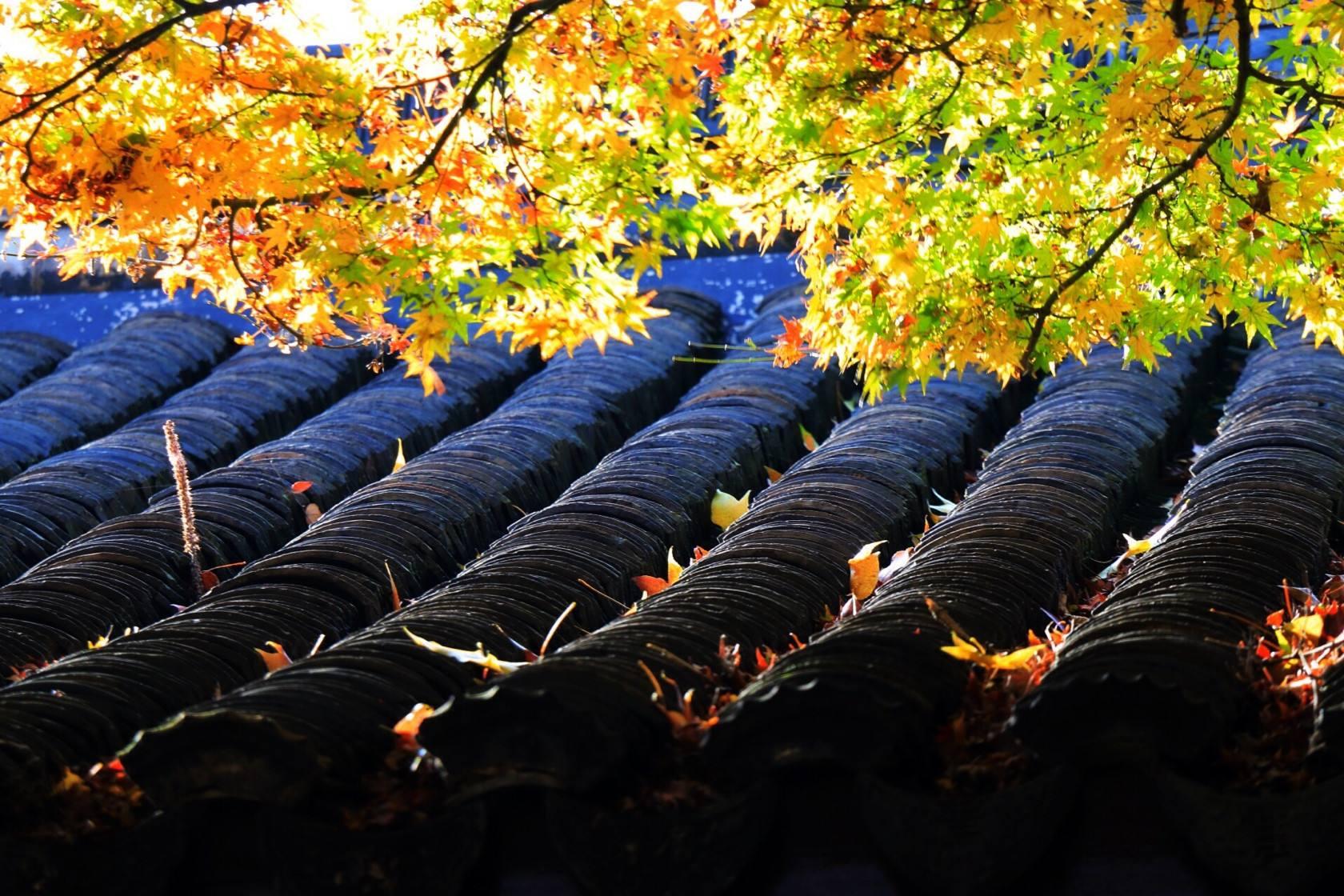 世上本无事庸人自扰之的唐诗,这三首唐诗写尽了人生的变幻