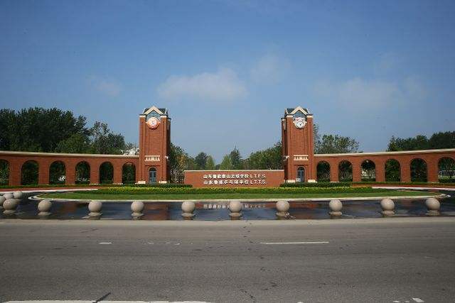 山东鲁能曾经是亚洲第一吗,2016山东鲁能为什么保级