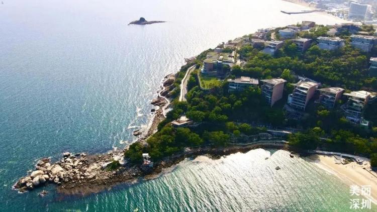 不离深,深圳高颜值绿道推荐一日游正好