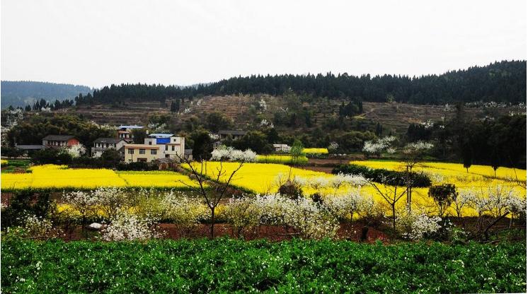 王维最好的禅意诗,王维最具禅意的诗