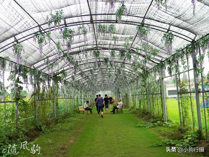 单车骑行无锡,无锡单车骑行路线