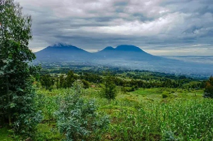 非洲小国卢旺达:与中国密切合作,经济发展快,看不到任何脏乱差