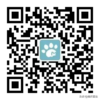 足不出户就能在线治猫病,24小时猫病在线咨询