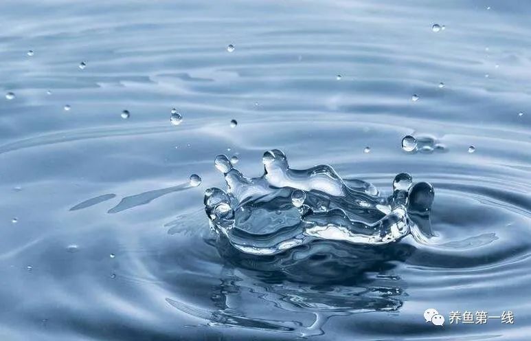 渔药标准解读系列,渔药标准